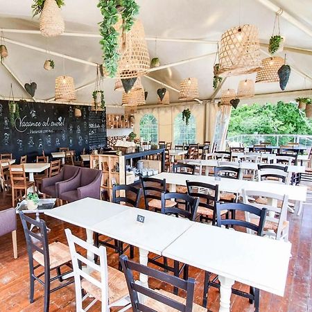 Safaritent Glamping Orlando In Chianti Cavriglia Exteriör bild