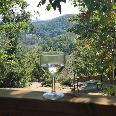 Safaritent Glamping Orlando In Chianti Cavriglia Exteriör bild